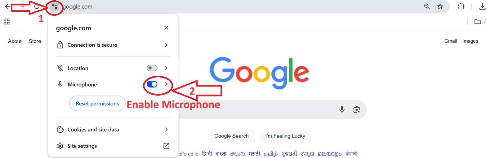 Chrome Microphone settings